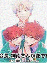 葬送的芙莉莲 漫画